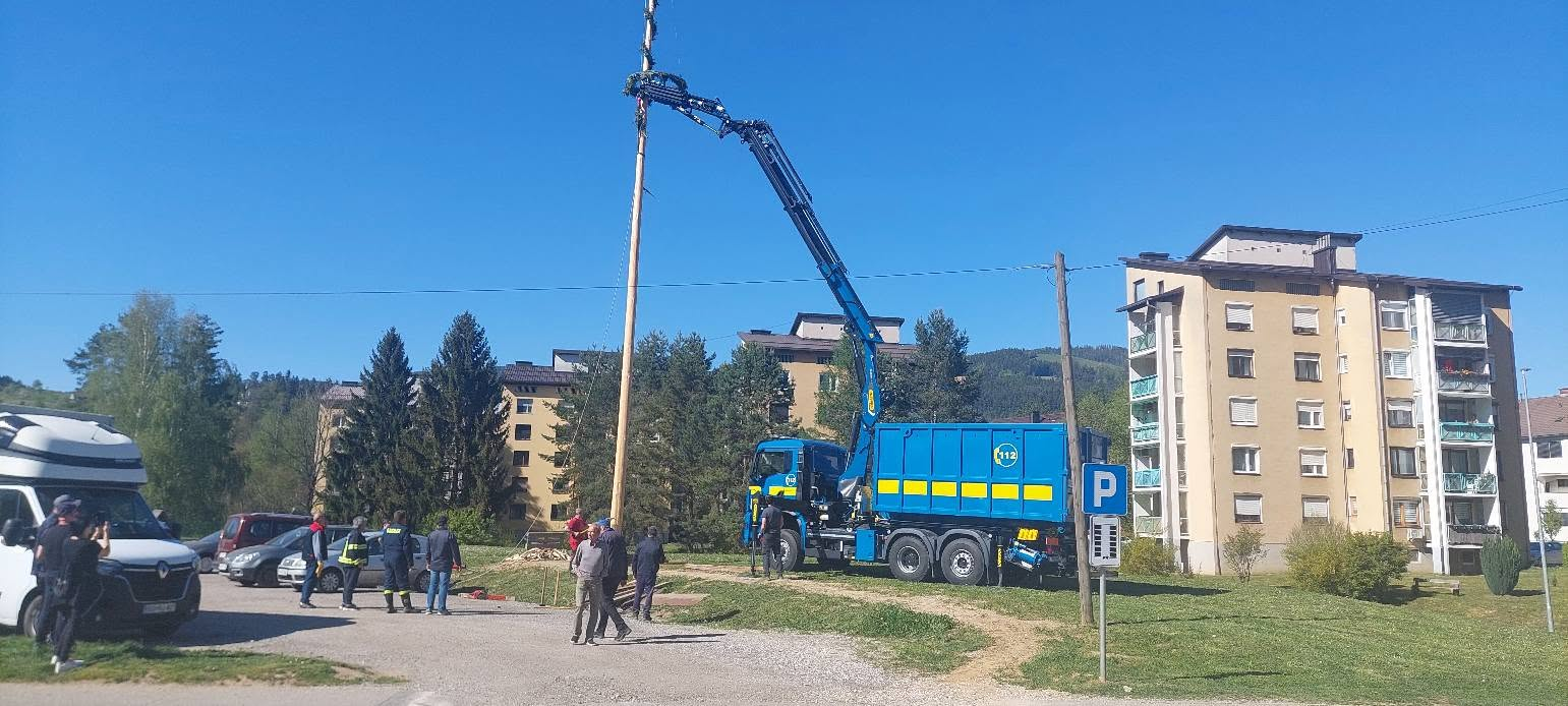Postavljanje mlajev — slika 6
