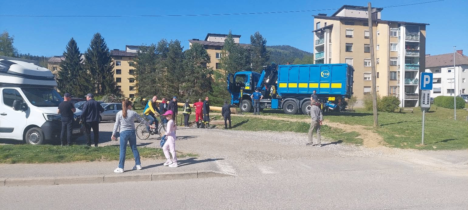 Postavljanje mlajev — slika 8