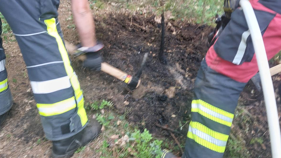 Intervencija #10 in #11 – Požar gozdne podrasti (Javornik) in iskalna akcija (Prevalje) — slika 3