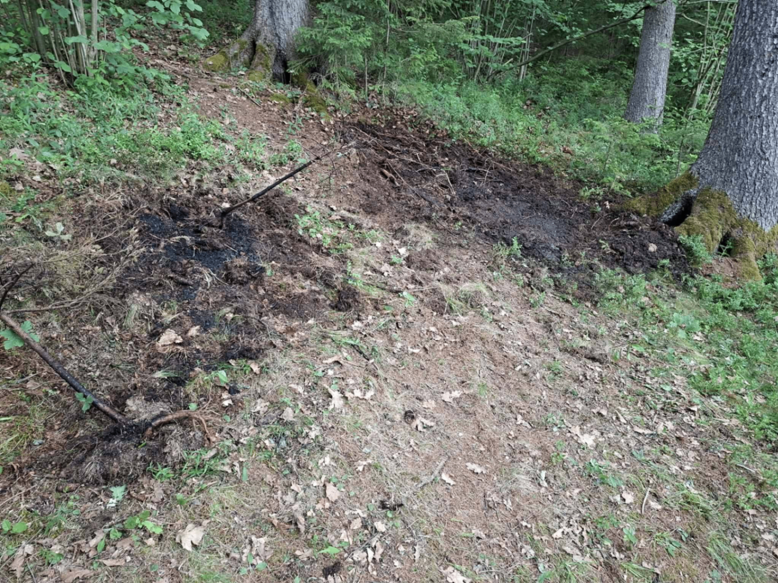 Intervencija #10 in #11 – Požar gozdne podrasti (Javornik) in iskalna akcija (Prevalje) — slika 4