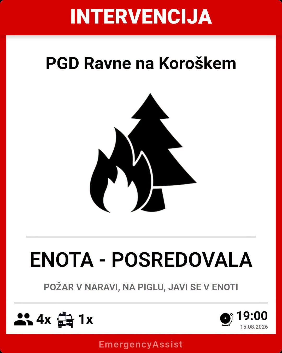 Intervencija – Požar v naravi (Pigl) — slika 5
